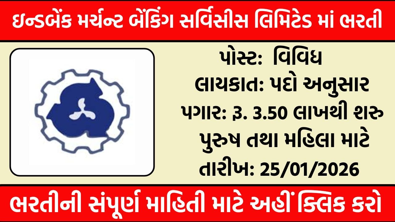 IBMBS LTD Recruitment